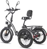 FAFREES F20 Mate Triporteur Électrique - Batterie Voir les images du produit 5