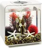 biOrb Decor Set 15L Red Forest Náhled obrázku produktu 5