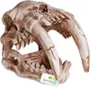 Terrario Lebka Sabertooth - lebka tygra do terária Náhled obrázku produktu 1