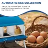 Hš¹hner-Nestbox Metall-Hš¹hnerlegebox mit Produktbild-Vorschau 5