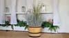 Pot de fleurs en bois fabriqué à partir d'un demi-tonneau Voir les images du produit 9