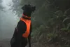 Ruffwear Front Range™ Hundegeschirr Produktbild-Vorschau 6