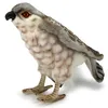 Hansa Toy 5121 Turmfalke 25 cm Kuscheltier Plüschtier Produktbild-Vorschau 2