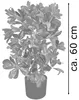Schefflera Arboricola Plante Arbre Artificielle Artificiel Voir les images du produit 6