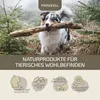Provicell ImmunVital Pulver Hund 60 g | Immunabwehr I Mit Produktbild-Vorschau 5