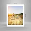 Poster - Poster ohne Rahmen - Fahrrad Wiese Blumen - 40x50 Produktbild-Vorschau 4