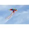 HQ Vogeldrachen Bird Tropical 4031169177407 Produktbild-Vorschau 4