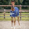 Bucas Foal Turnout 50g Navy Silver/navy, Größe:Foal Produktbild-Vorschau 2
