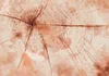 Vlies Fototapete - Pink Trunk 300x210 cm Muster Produktbild-Vorschau 5