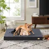 A mother dog nurses her puppies on a dog bed in a living room. Produktbild-Vorschau