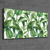Coloray Canvas 120x60  Wandbild Leinwand Bilder Foto Bild Produktbild-Vorschau 2