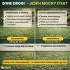 Microjetel à petites feuilles + Herbe : semences vivaces Voir les images du produit 9