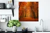 MuchoWow® Poster Herbst - Rot - Wald 50x50 cm - Produktbild-Vorschau 3