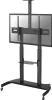 Neomounts PLASMA-M1950E Neomounts BOS 60"-100" 1TFT        Vista previa de la imagen del producto 1