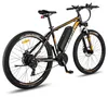 Bicicletta Elettrica | FAFREES | F28 MT | 250W 36V15Ah Anteprima dell’immagine prodotto 2