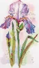 Panna Kreuzstich Set "Aquarell Iris", Zählmuster, 16,5x26cm Produktbild-Vorschau 1