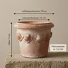 Teramico Terracotta Topf "Conca Limoni" 20cm optional Produktbild-Vorschau 3
