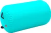 vidaXL Nafukovací gymnastická role s pumpou 100x60 cm PVC Náhled obrázku produktu 1