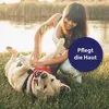 Canosept Hautpflege Spray für Hunde 250 ml Produktbild-Vorschau 3
