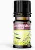 Duftöl 10ml Grosse Auswahl II  Duftlampe Duftstein Aromaöl Produktbild-Vorschau 6