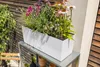 Lechuza Samozavlažovací truhlík Balconera Stone 80 cm, bílá Náhled obrázku produktu 7