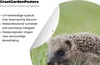 MuchoWow® Produktbild-Vorschau 2