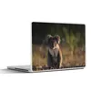 MuchoWow® Laptop Aufkleber Sticker Cover Koala - Sonne - Produktbild-Vorschau 1