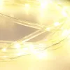 Světelný řetězec 7,5m, 100 LED, průhledný kabel, Náhled obrázku produktu 4