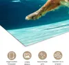 MuchoWow® Poster Pool - Hund - Wasser 180x120 cm - Produktbild-Vorschau 2
