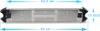 Pool Edelstahl Trittstufe für Tiefbeckenleiter 43 mm Holm Produktbild-Vorschau 5