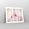 Poster - Poster ohne Rahmen - Vögel Kardinal Scharlachrot - Produktbild-Vorschau 7