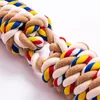 A close-up, studio shot of a colorful, braided rope toy for dogs. Produktbild-Vorschau