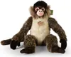 A plush monkey toy sitting on a white background. Produktbild-Vorschau