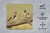 MuchoWow® Mauspad Mousepad Zwei kleine Stieglitze auf einem Produktbild-Vorschau 2