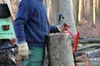 HolzUp Brennholz Hebehilfe Produktbild-Vorschau 3