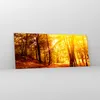Bilder auf glas - Wald Baum Natur - 120x50cm - Glasbilder - Produktbild-Vorschau 4