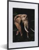 MuchoWow® MuchoWow® Gerahmtes Poster Elefant - Dschungel - Produktbild-Vorschau 1