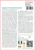 SAFLAX  - Jiaogulan / Pianta dell'immortalità - 30 semi - Anteprima dell’immagine prodotto 3