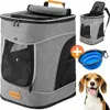 A collage of a pet backpack, a collapsible bowl, and a beagle dog. Anteprima dell’immagine prodotto