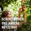Spezial-Pilzfrei COMPO Ortiva 20 ml Produktbild-Vorschau 10