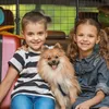 relaxdays Hundegitter Auto Universal groß Produktbild-Vorschau 5