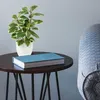 Sztuczna roślina kamelia w plastikowej doniczce 28 cm, Podgląd zdjęcia produktu 5