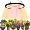 A grow light illuminates a collection of potted flowering plants. Produktbild-Vorschau
