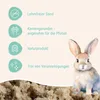 Schicker Mineral Kaninchen Buddelsand 25 kg Kaninchensand Produktbild-Vorschau 2