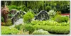 Glasbilder 140x70 Wandbild Druck auf Glas Botanischer Produktbild-Vorschau 1
