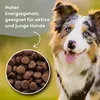 DR JOHN Titanium Chicken - trockenfutter für Hunde - 15kg Produktbild-Vorschau 5