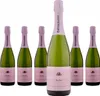 6 x Weingut Bründlmayer Brut Rosé Produktbild-Vorschau 1
