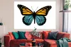 MuchoWow® Poster Blau - Schmetterling - Orange 180x120 cm - Produktbild-Vorschau 2