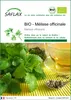 SAFLAX  -- Mélisse officinale - 1000 graines - Melissa Voir les images du produit 1