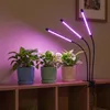 Pflanzenwachstumslampe mit 3 LED-Panels zur Beleuchtung, Produktbild-Vorschau 2